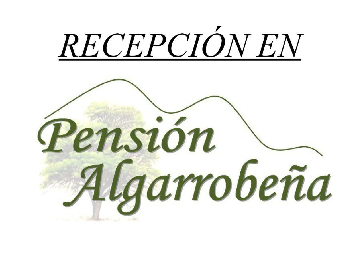 Casa Tita Laura Villa Algarrobo Eksteriør billede