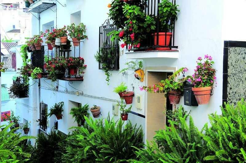 Casa Tita Laura Villa Algarrobo Eksteriør billede